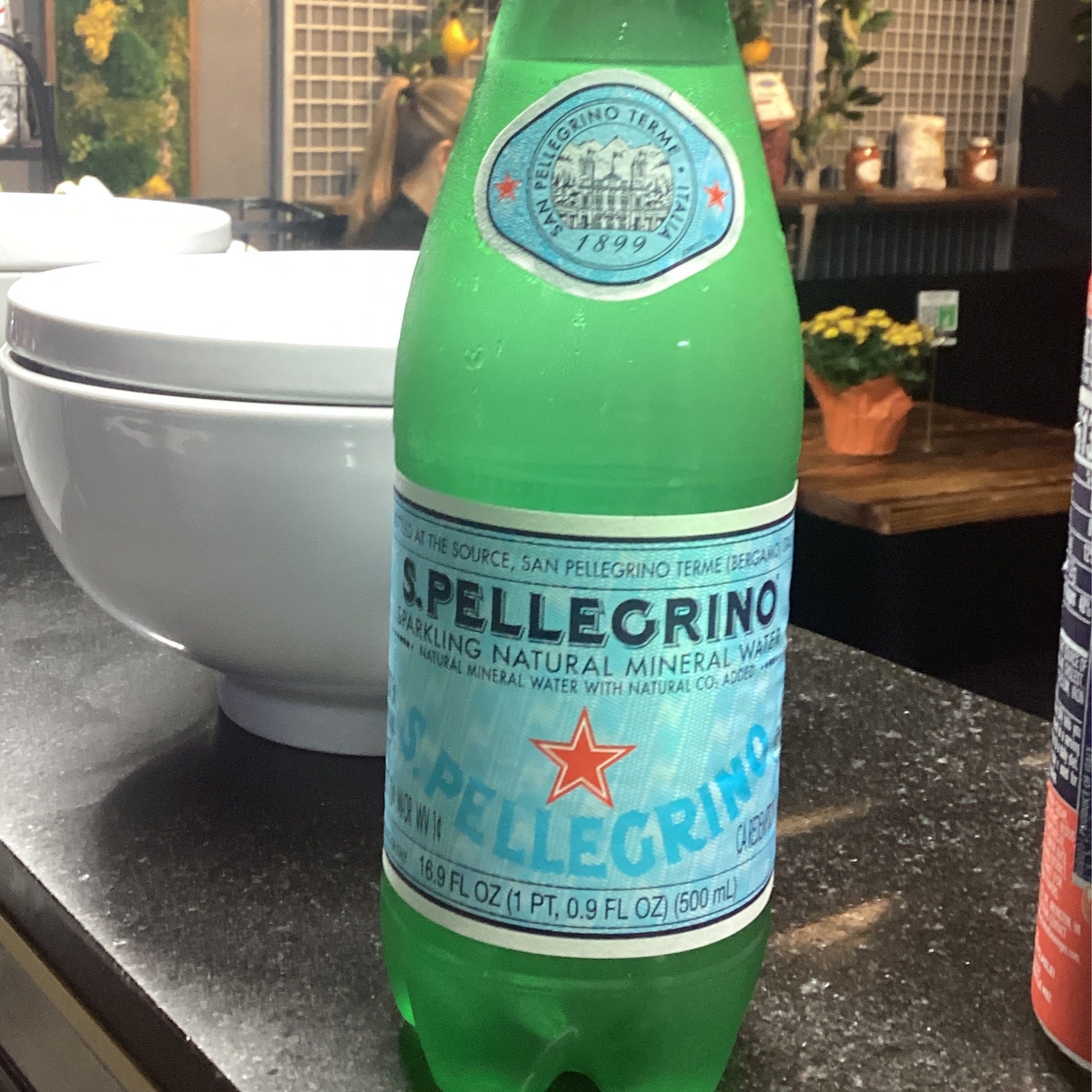 S. Pellegrino Sparkling Natural Mineral Water, 16.9 fl oz